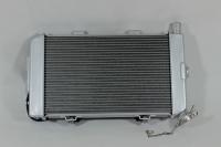 Радиатор системы охлаждения в сборе с венилятором