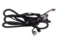 Жгут двигателя 13209410000