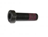 Болт M10x1x35 403350