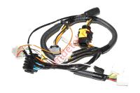 Жгут основной L11100220