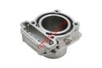 Цилиндр 21170100201