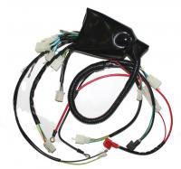 Жгут основной 05001200220200