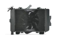 Вентилятор радиатора в сборе