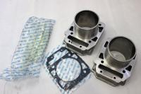 2 Цилиндра (в сборе)