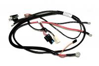 Жгут электрозапуска C41101020