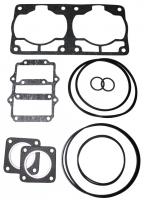 Комплект прокладок для двигателя РМЗ-551 K20500420