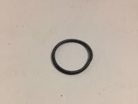 Пружина манжеты 110200041