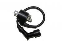 Катушка зажигания в сборе 924413