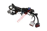 Жгут проводов двигателя 17009410000