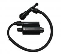 Катушка зажигания в сборе T01E010