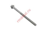 Винт 10х159 21050101201