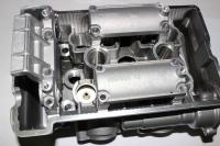 Головка блока (серебряный / CHAMPAGNE SILVER)