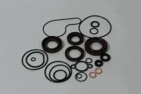 Комплект уплотнительных колец и сальников