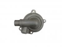 Корпус водяного насоса 21040114201