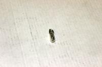 Лампа накаливания