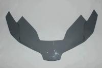 Облицовка фар (серый / GHOST GRAY)