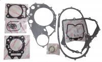 Комплект прокладок двигателя для обслуживания 924941