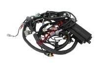 Жгут основной 17009020042