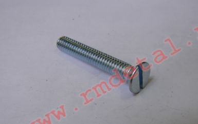 0066263  Винт М4х25 DIN 963-48P
