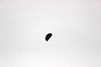 Шпонка балансировочного вала