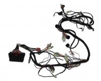 Жгут основной V11100080