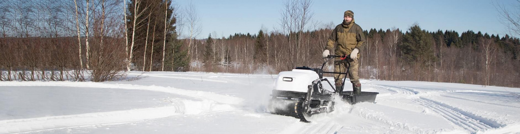 video_tingerdog.jpg
