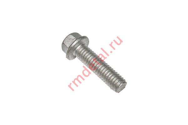 0136957  Болт фланцевый с шестигранной головкой 6x22 01224060221