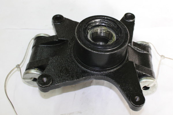 0120219  Шарнир задний в сборе 13201200060