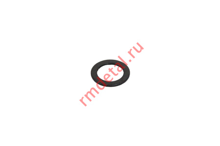 0076874  Шайба L10600061