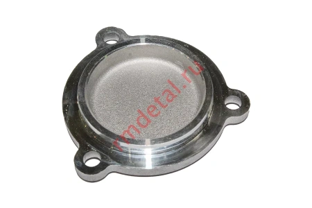 0138505  Заглушка 21040501101