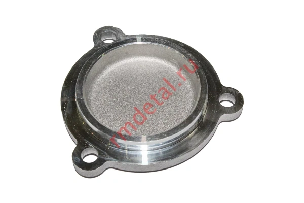 0138505  Заглушка 21040501101