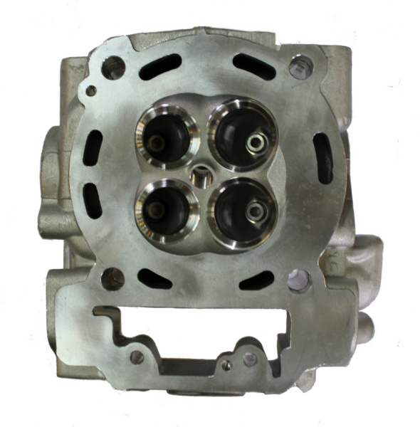 0120387  Головка цилиндра 22040100301