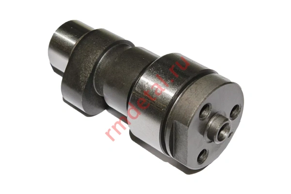 0135868  Вал распределительный 21050201301