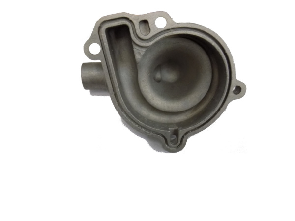 0120468  Корпус водяного насоса 21040114201