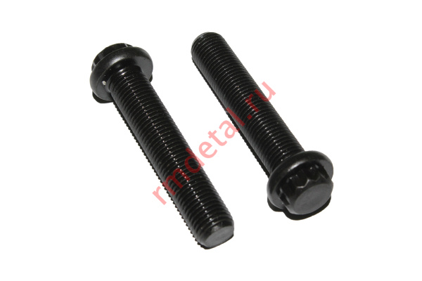 0141149  Болт нижней головки шатуна М9х1/45 21050400231