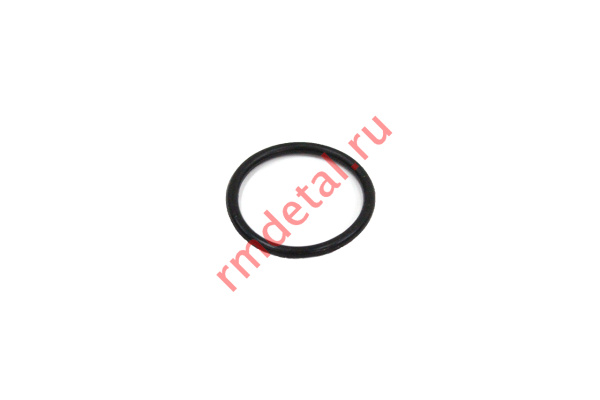 0124497  Кольцо 38x3.1 11020038310