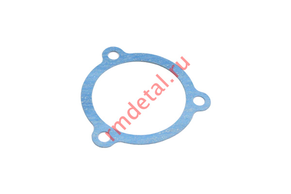 0120518  Прокладка 21040116201