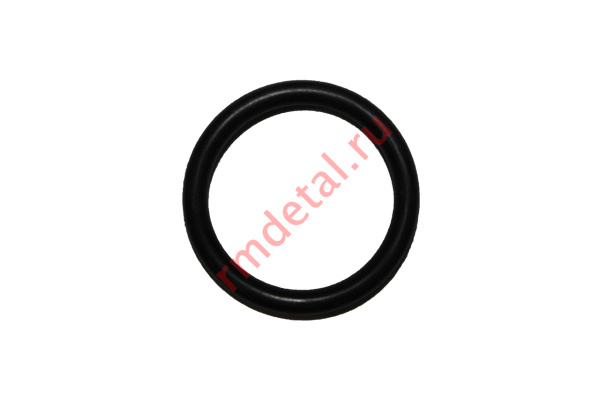 0107290  Кольцо S-005-00S1-A0