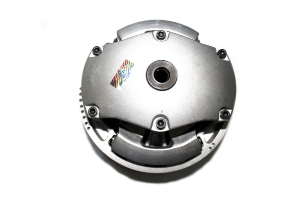 0087919  Регулятор центробежный   в сборе C40601900