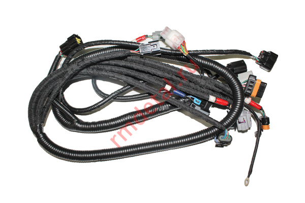 0127931  Электрожгут двигателя 10009410000