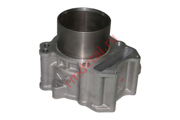 0085791  Цилиндр 12100-REA-000