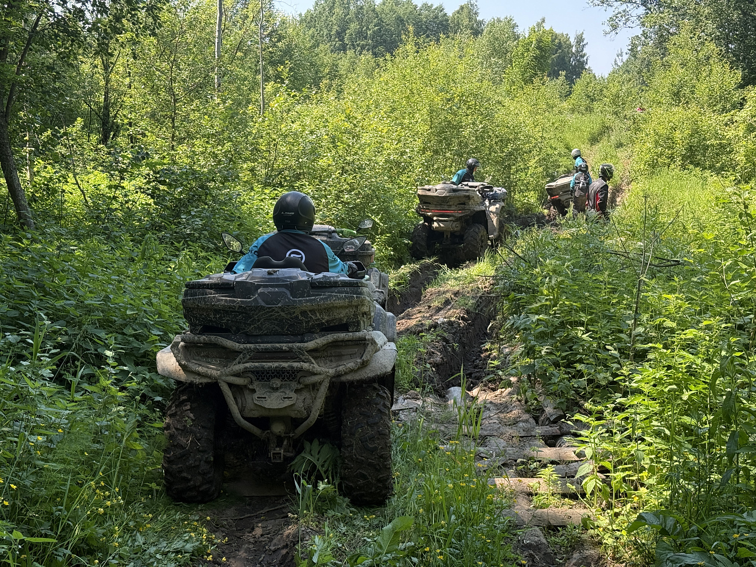 Вокруг Рыбинского моря 2026