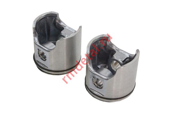 0088808  Поршни EK 2301 a  (2 шт)