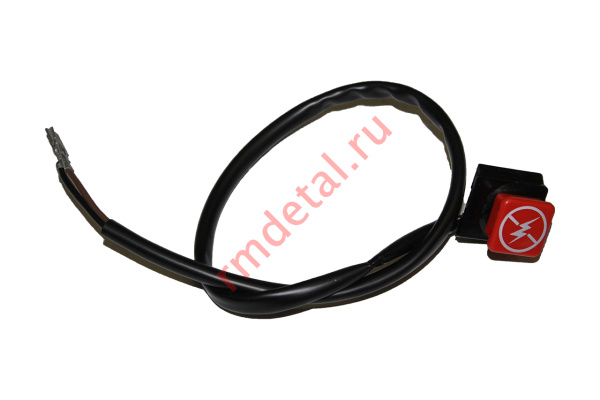 0075418  Выключатель двигателя со жгутом C41100540