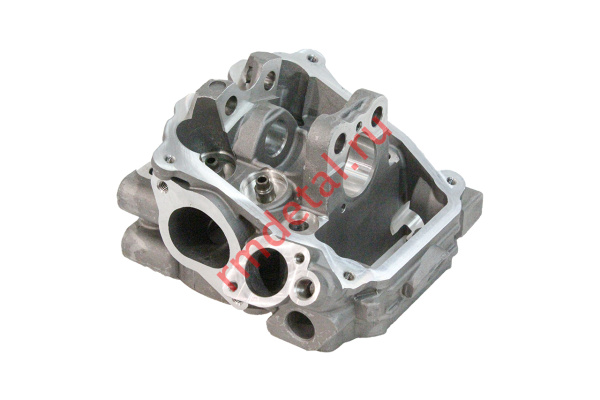 0120387  Головка заднего цилиндра 22040100301