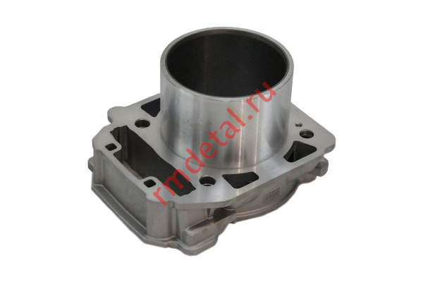 0120422  Цилиндр 21040109001