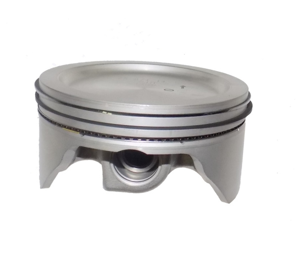 0119165  Поршень в сборе с кольцами (STYLE B)(STD) 25 874 14-S