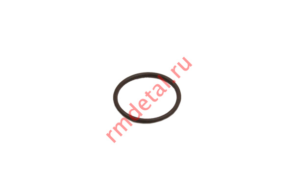 0121080  Кольцо уплотнительное 24х2 21040201501