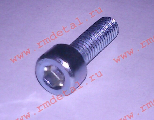 0071460  Винт М10х45 DIN 912 88P