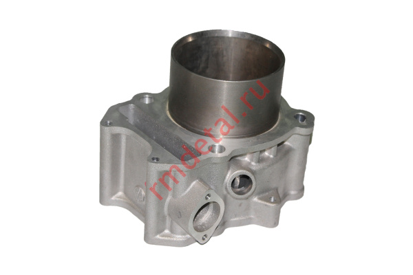 0085791  Цилиндр 12100-REA-000